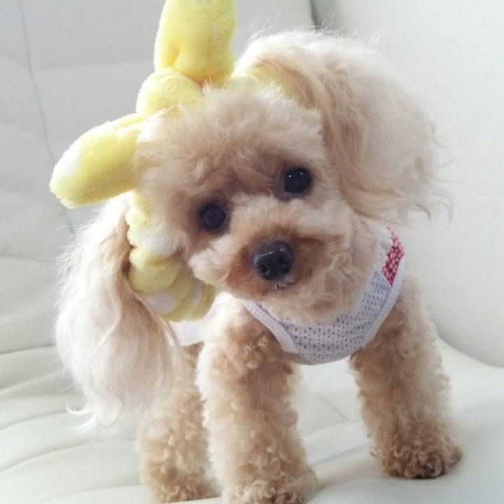 41259479 bf98 4238 ac43 fe290bcdf11f 1533035539436