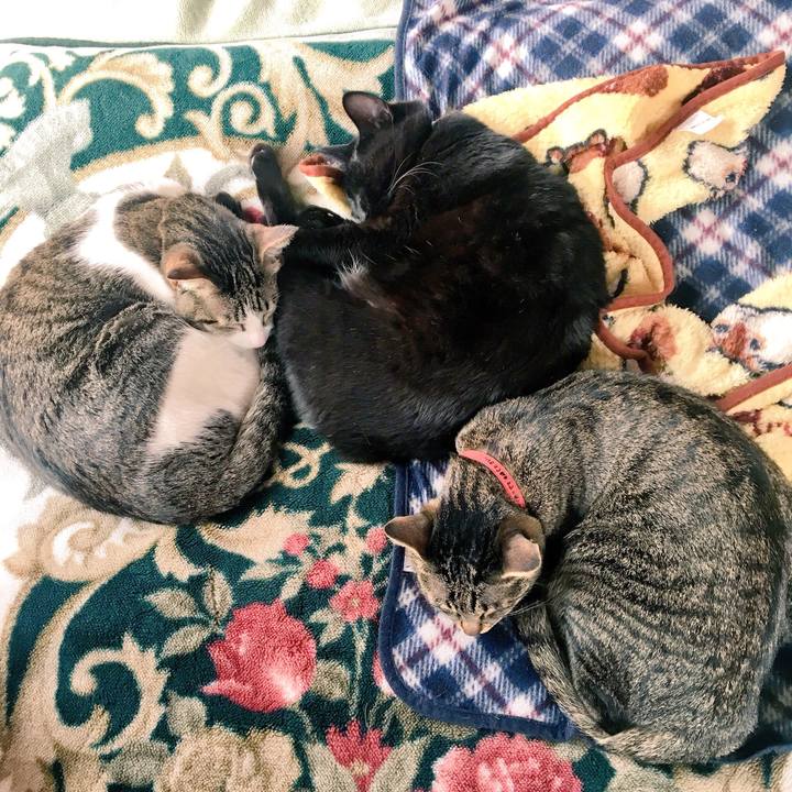 4125bb75 717e 424b 8aa0 ba06eb9371bc 1522146926168