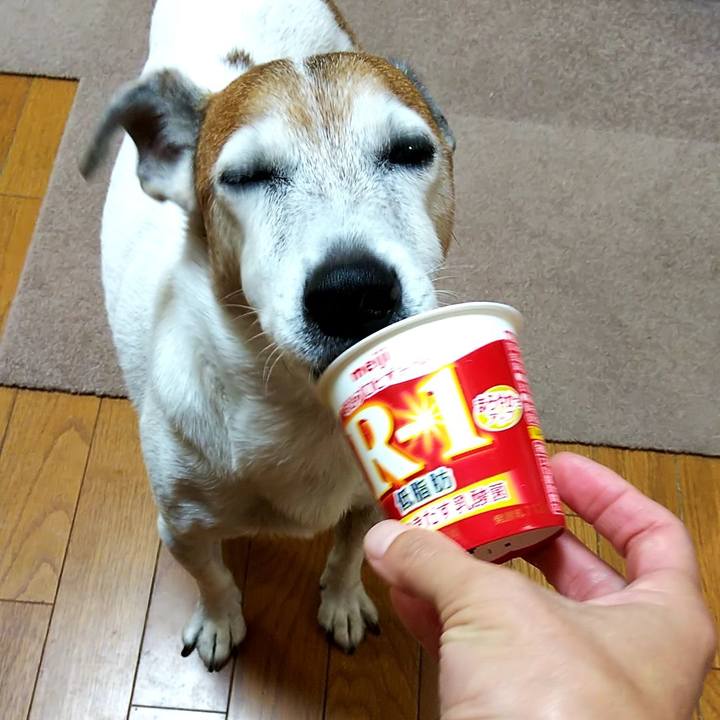 4125e3dd 21e8 4cae 8a25 cb5459513678 1537395077702