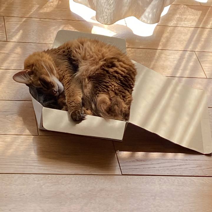 4126157c 0299 49d9 97c4 f8f36a9aea98 1694612875665