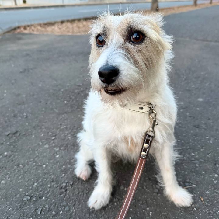 41264436 b17e 4df9 b17c cae936a27a0d 1770324521360