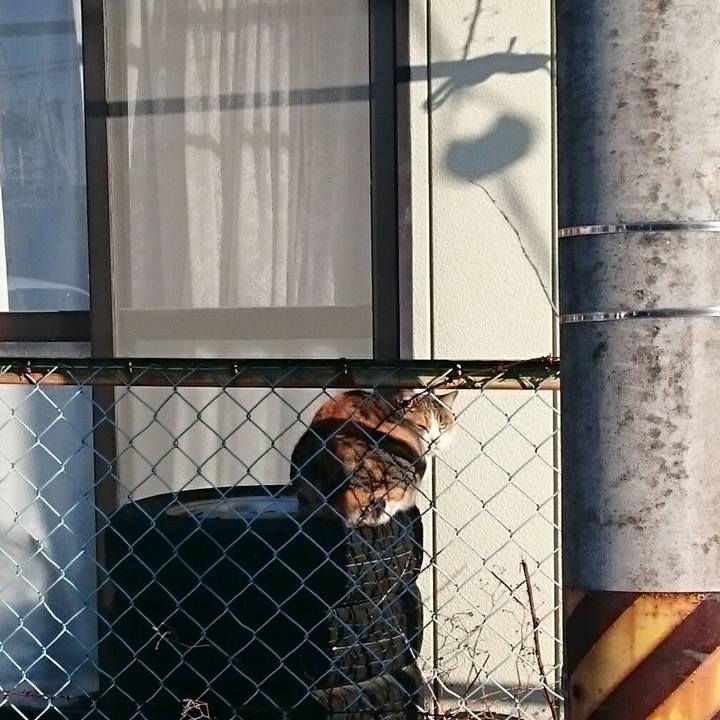 41264ba4 23ef 4969 bc19 67e6f5c6e10a 1524572330740