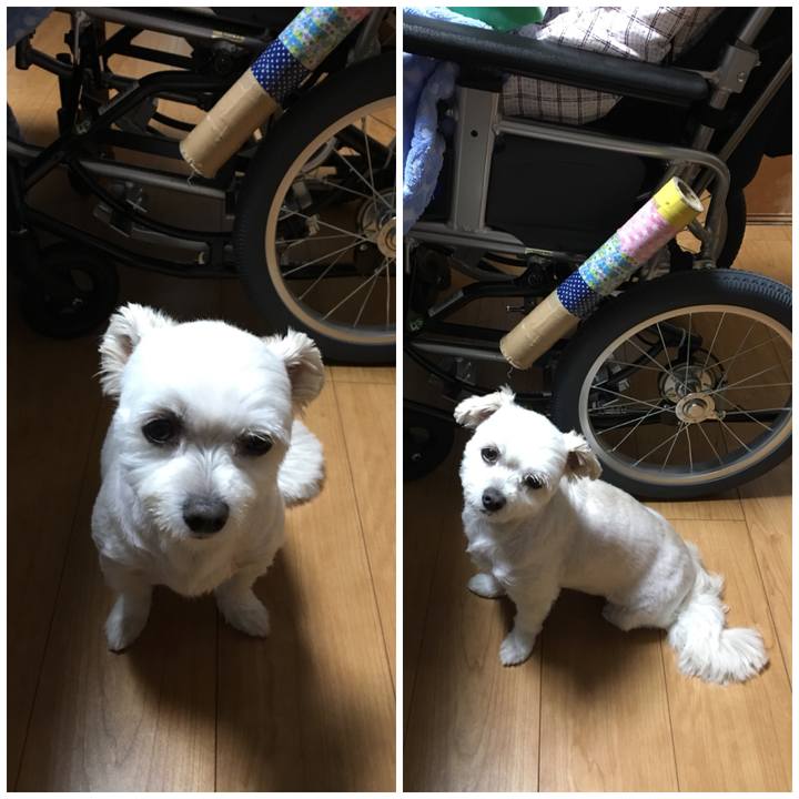 41266ca4 28e0 463b b978 3a77d207b9a8 1533557503033