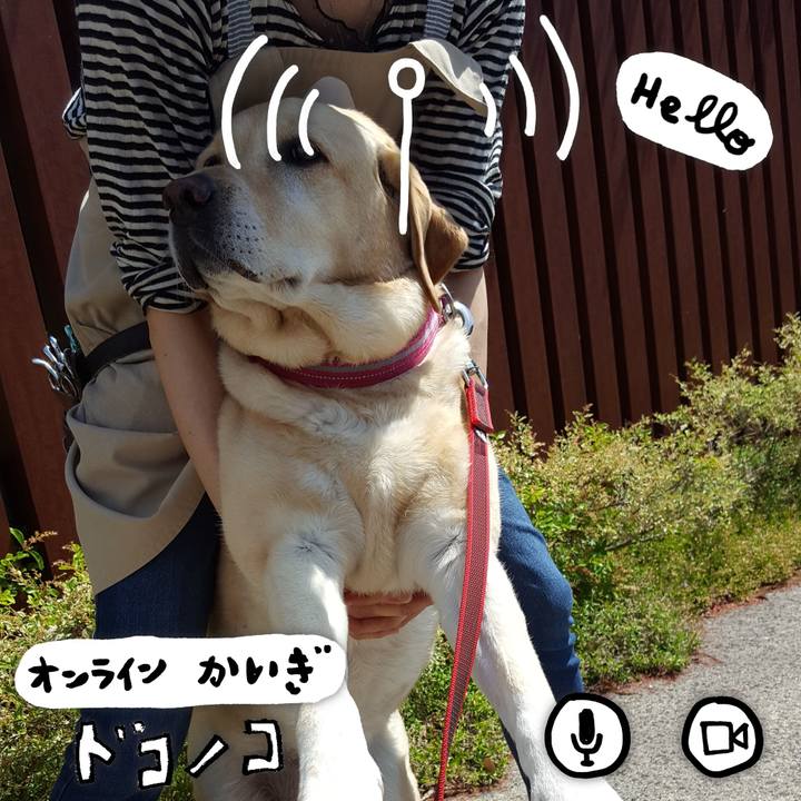 4126767c af48 44a5 a4cc 7b2c9478e171 1590809249044