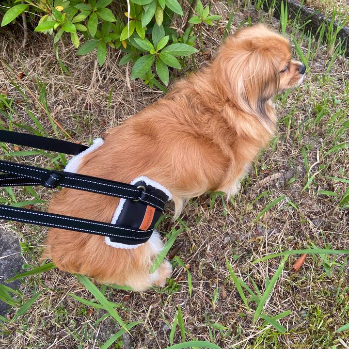 41268bd9 8a33 4e50 8bba b3db4d069673 1623359535668