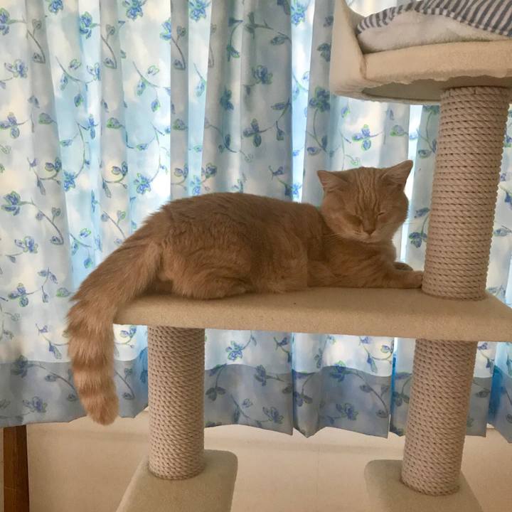 4126c2f5 8875 4999 8c40 e8c2f90ec3a1 1538202447664