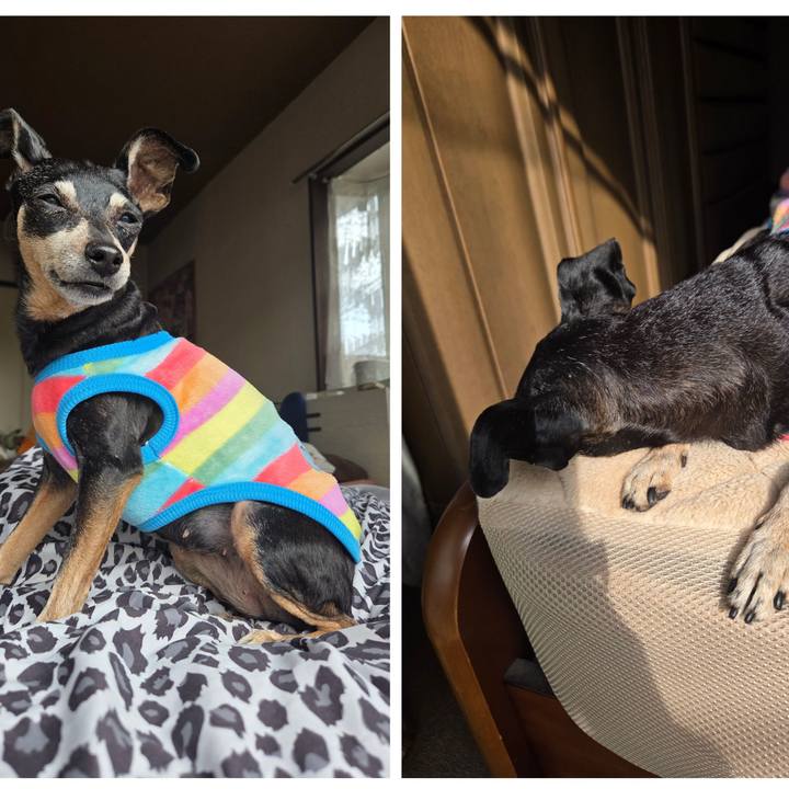 4126e521 65a7 4861 8fcd ae7b5cf1f7e8 1764651252956