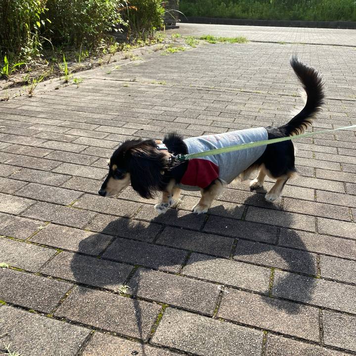 4126fb41 343e 4c18 8a7c c7071f5d3c3d 1718595433881