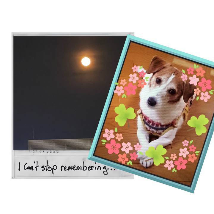 412713d6 1c8f 4d0a b5c8 0faa4aec4693 1747136068411