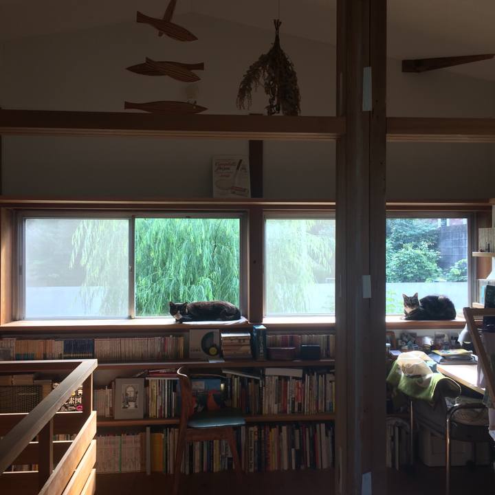 41275254 6c82 4d64 8717 fa6ccd549027 1567812081871