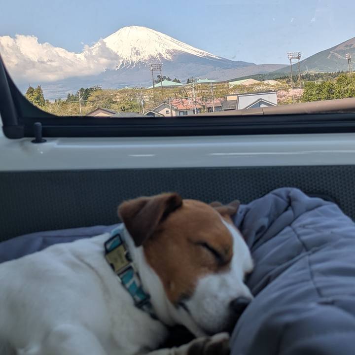 4127566a 841b 4c39 86d7 2124b7e054a3 1745286859770