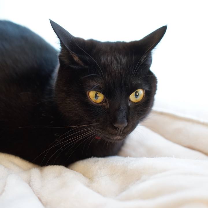 412763b8 f6fc 458e 88e5 19ec5fbfb745 1548113260002