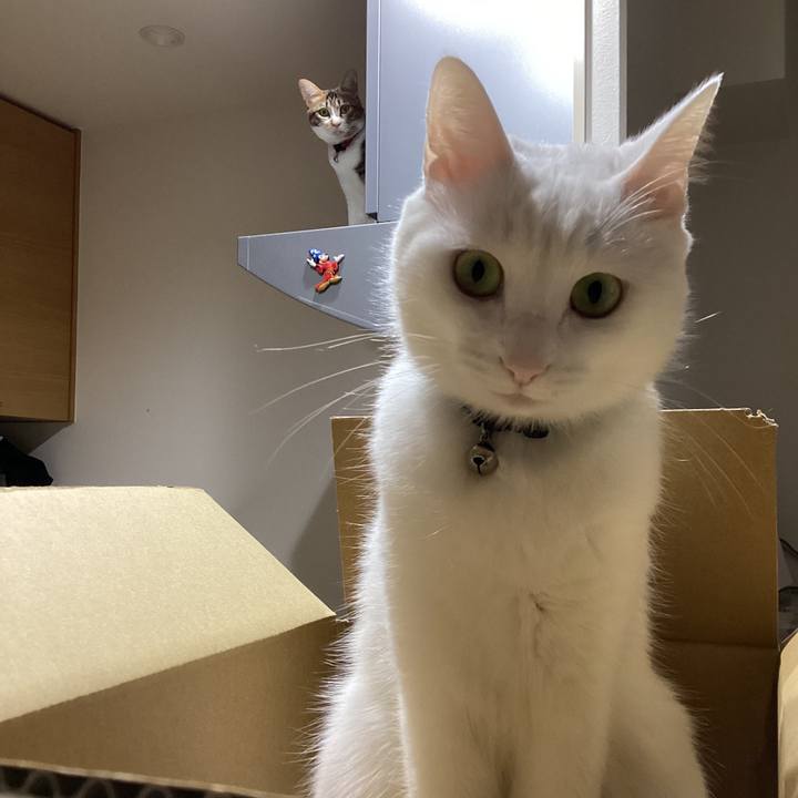 4127835e 374d 416d bf9c 01d3845a55e0 1670290192218