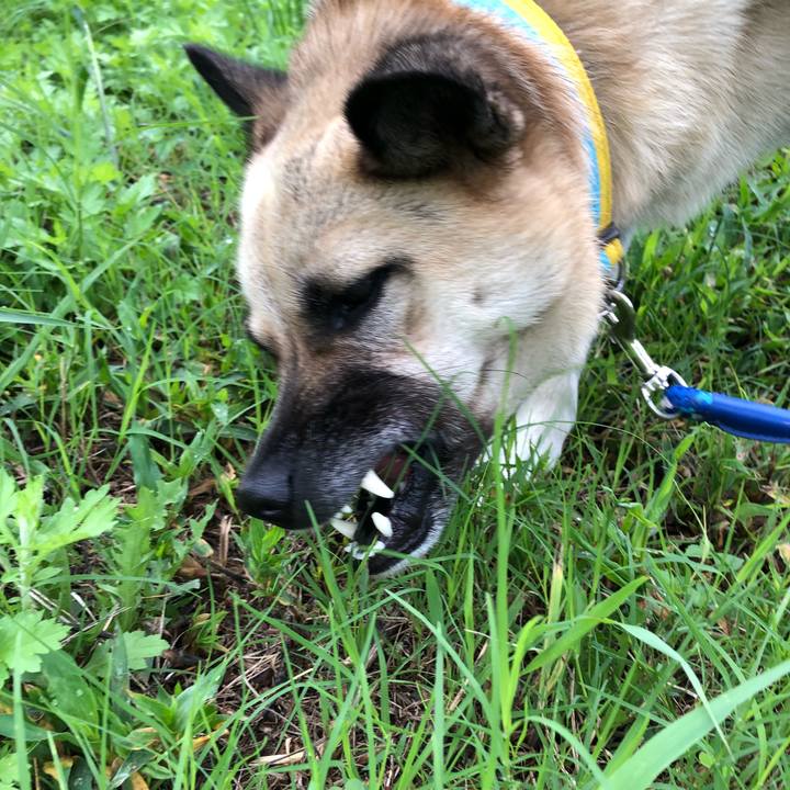 4127923b fe9c 41f0 b131 dbf64c0ad471 1536580477034