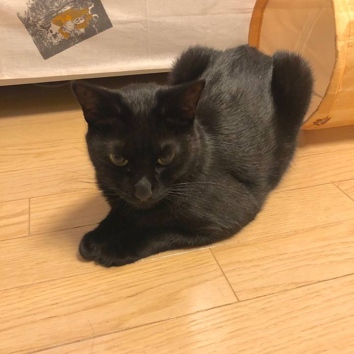 4127b34b ed9e 4852 843d f89245557bac 1571054182604