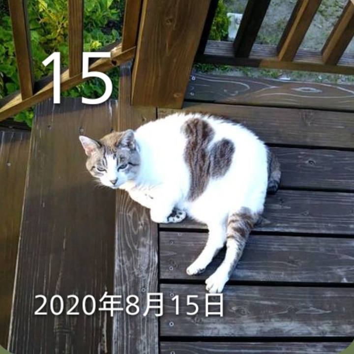 4127b834 c4f4 44a8 b558 9405250c9a02 1786762370512