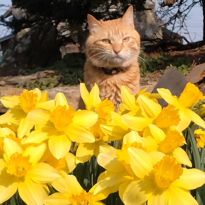 4127ba67 a249 49ec 931f f9dcd5cf1a50 1680594678905