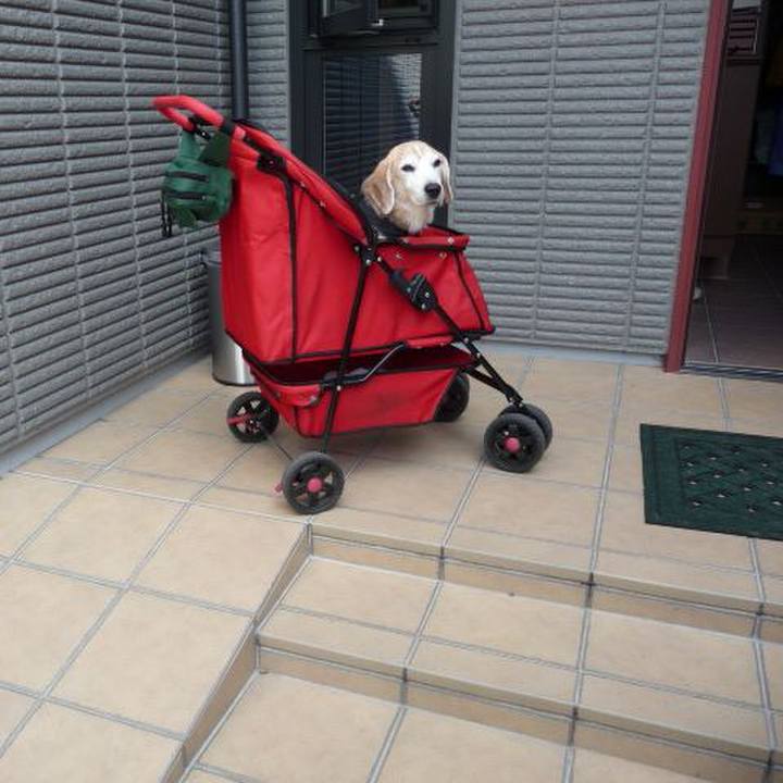 4127cefb 5951 4905 ad72 e9cbfb3f5d95 1695428031387