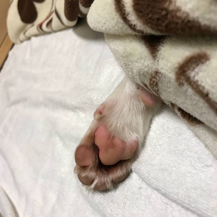 4127db92 9341 47d9 a5f2 40413036034e 1518957062687