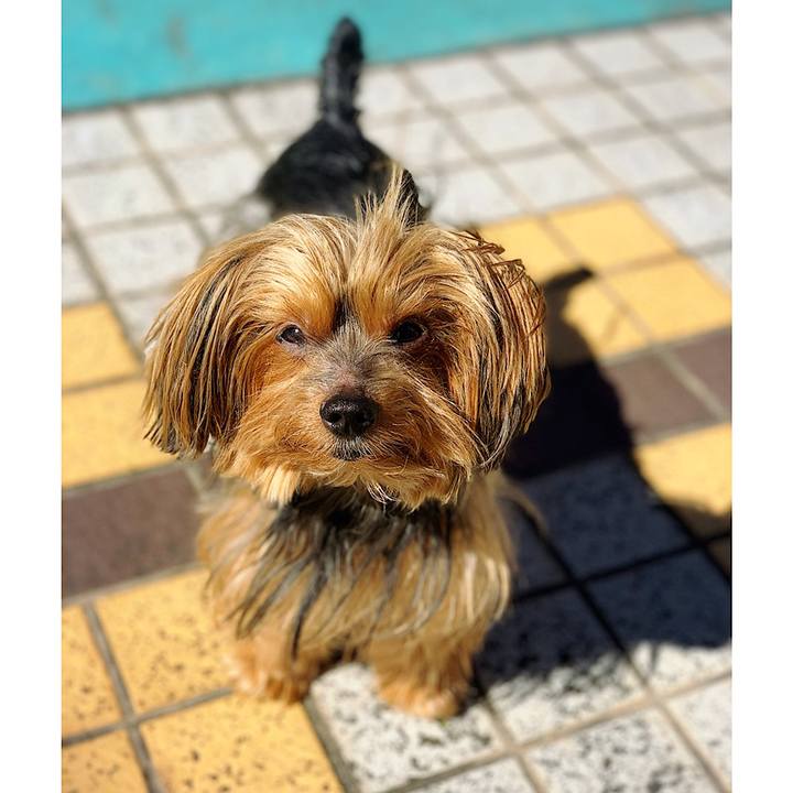 4127e679 5da4 46e9 8c28 adfe30535821 1570931722546