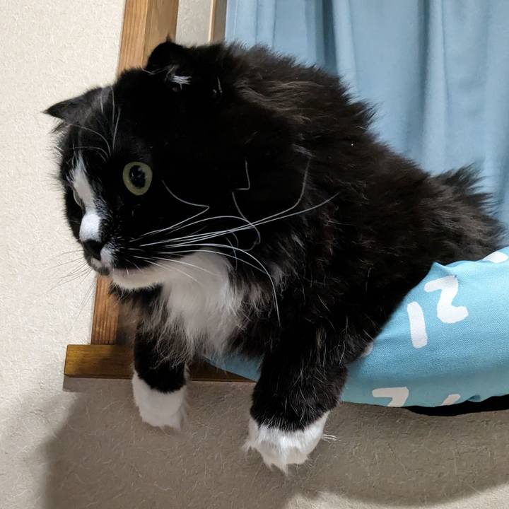 41281d8c 04a8 4379 a2f5 cc06ed0c69a5 1714882276986