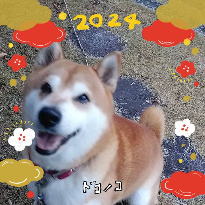 41281dba 4616 4e77 a992 a1ff75637d4a 1704092811230