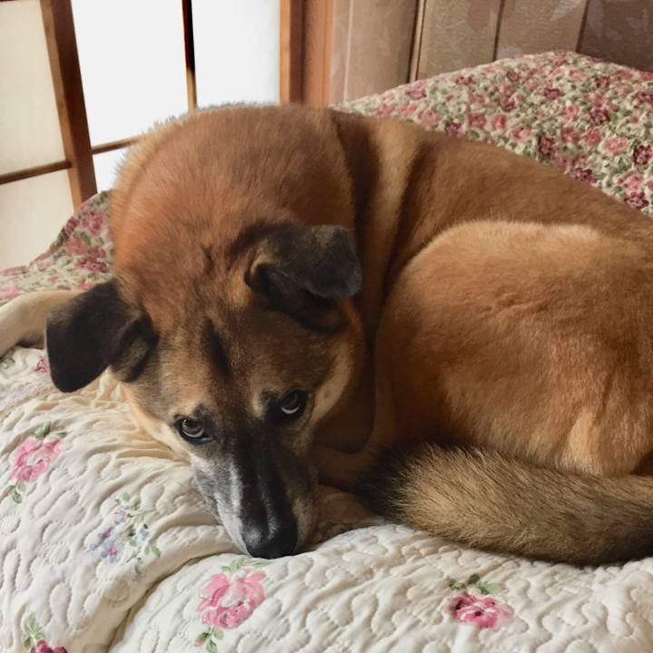 41286486 2085 47f1 8752 c7c4d981c256 1508894405100