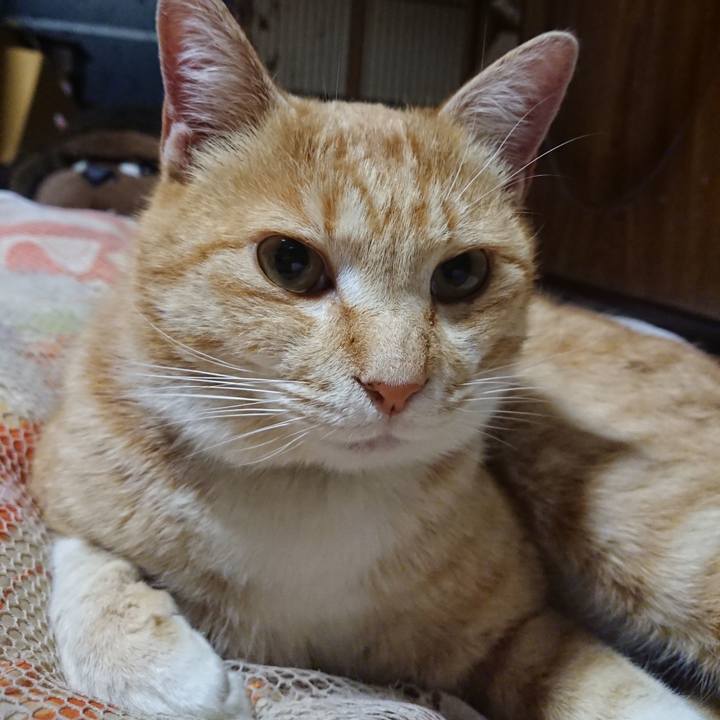 412866b3 999b 41c6 a0e2 4c4b1a705a11 1585831941791