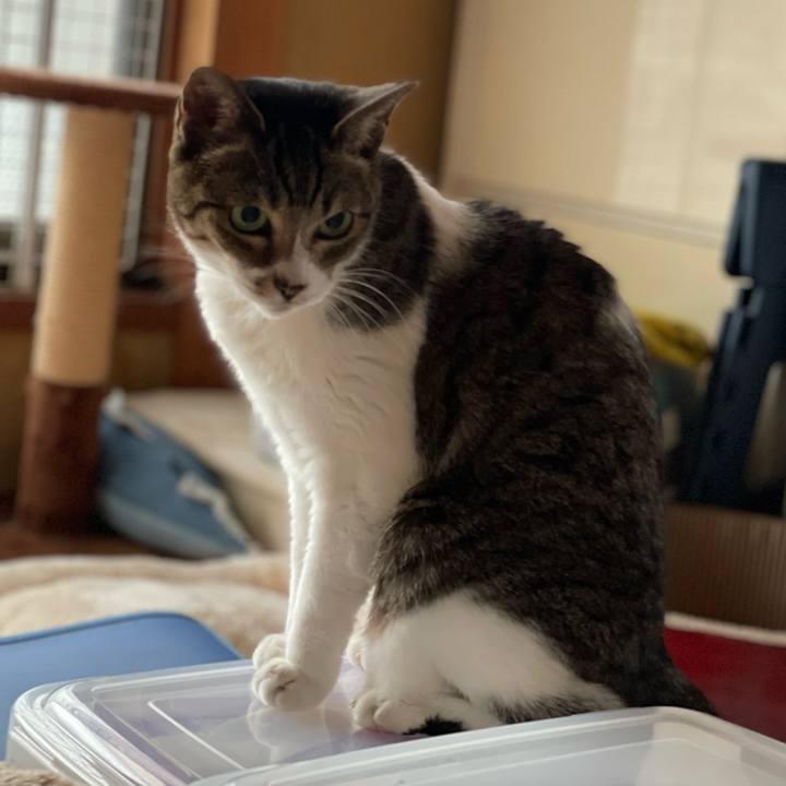 412883da aeee 466c aa3a cbb5509fc029 1641866535201