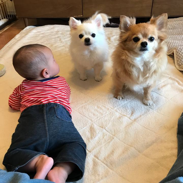 41288d8f 8cf7 41d5 986b d5403cb60ec7 1521168788466