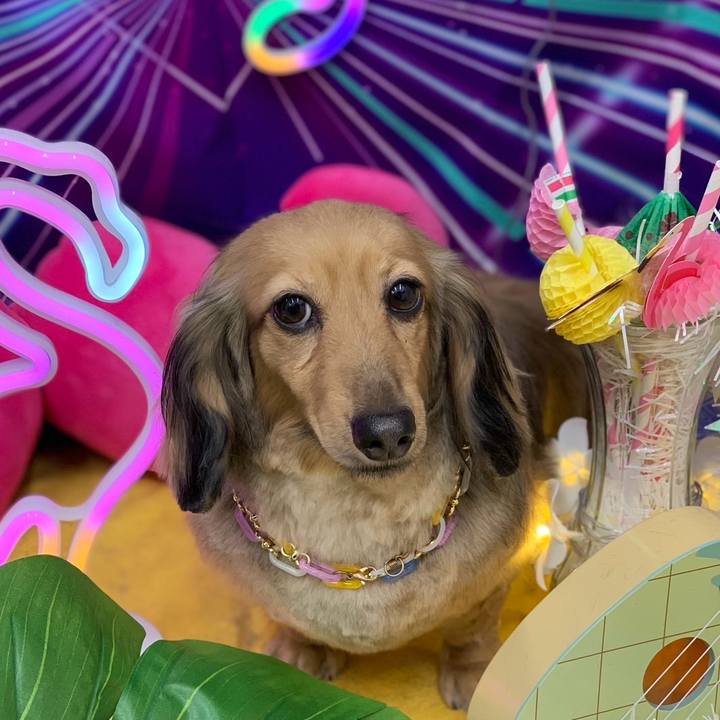 41293942 8e03 4e00 9098 ccf2d5a3f0ba 1755405411117