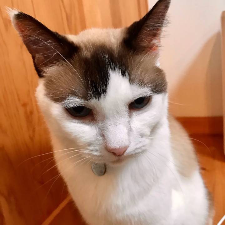 41294f85 ff17 4916 886b 0f78e765f004 1630632432528