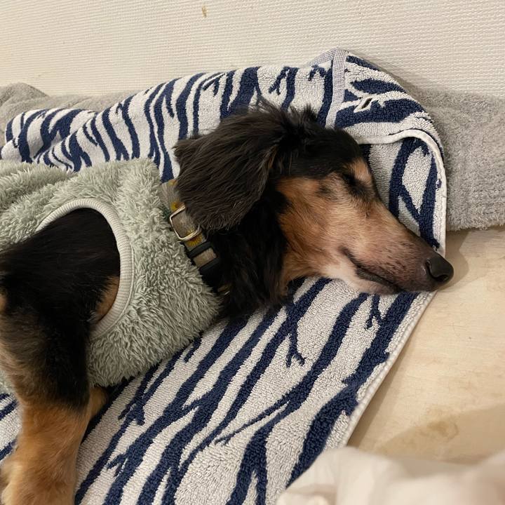 41296d02 54a6 4ca4 8892 46157d6f3c95 1739194992396