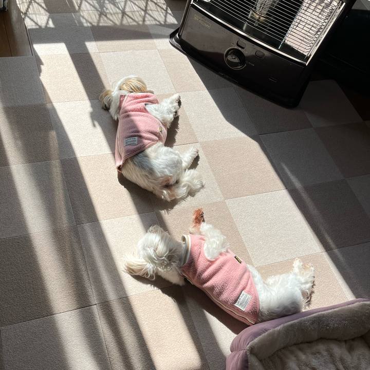 41298135 ff8a 4ec1 8641 f0ba3b46f7c9 1708921274322