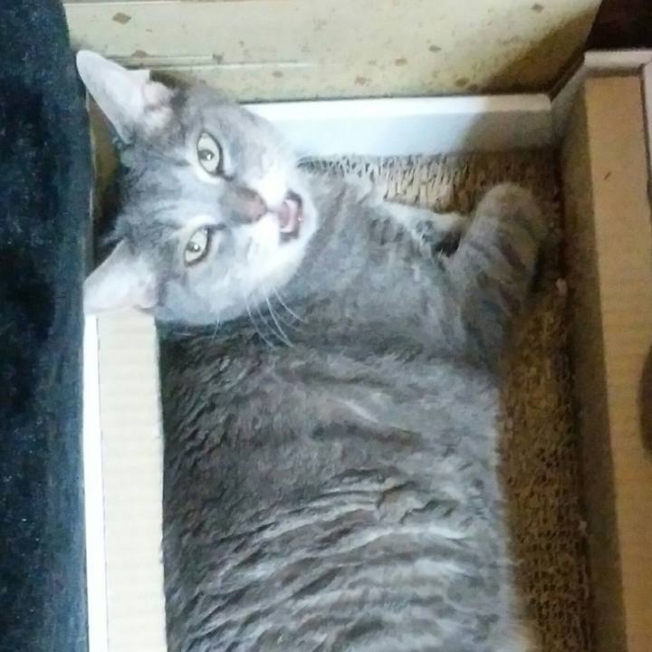 4129872c 978d 4b62 8ddb 58ffbe9abe34 1532735336554