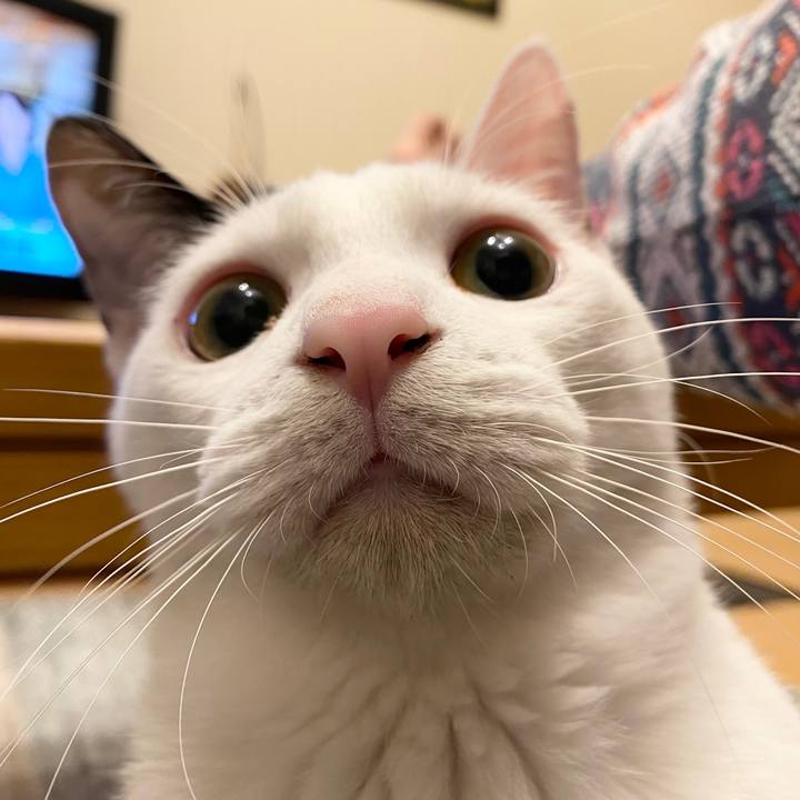 4129c2b4 b0e3 4179 a8cc 574cc9e414f3 1678928345644