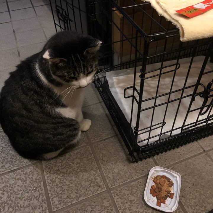 4129c9f8 afa5 4bee 87a5 fbe4007ed26e 1538740366650