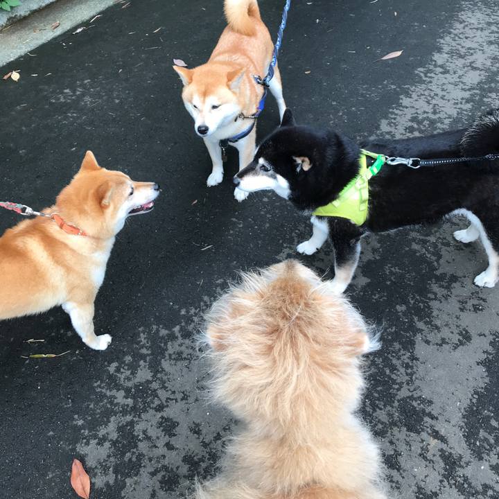 4129d93f 74a9 49c9 96d5 ae61116e02b4 1625307005599