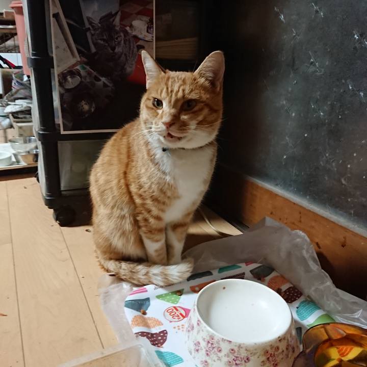 4129ee39 ad8a 4484 905e 184a91ec5a18 1604174838197