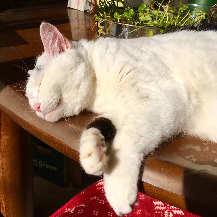 412a0597 9677 453e bb75 cb31a91e599a 1573801827251