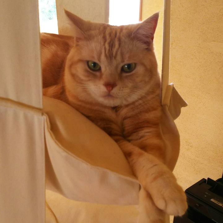 412a338e 9868 4f73 b15a 27a99a57b86e 1522971954487