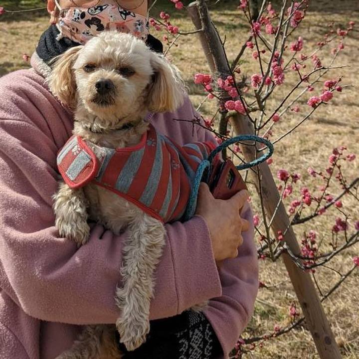 412a4456 1af0 4815 a074 69123800aa4b 1644120979003