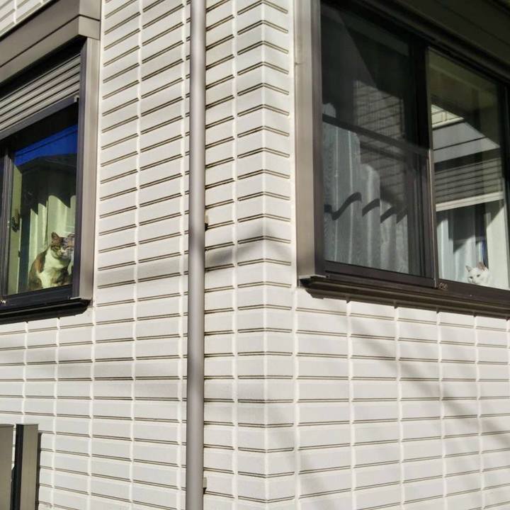 412a6809 0429 4544 aec5 830a3a0e1efe 1739581980881