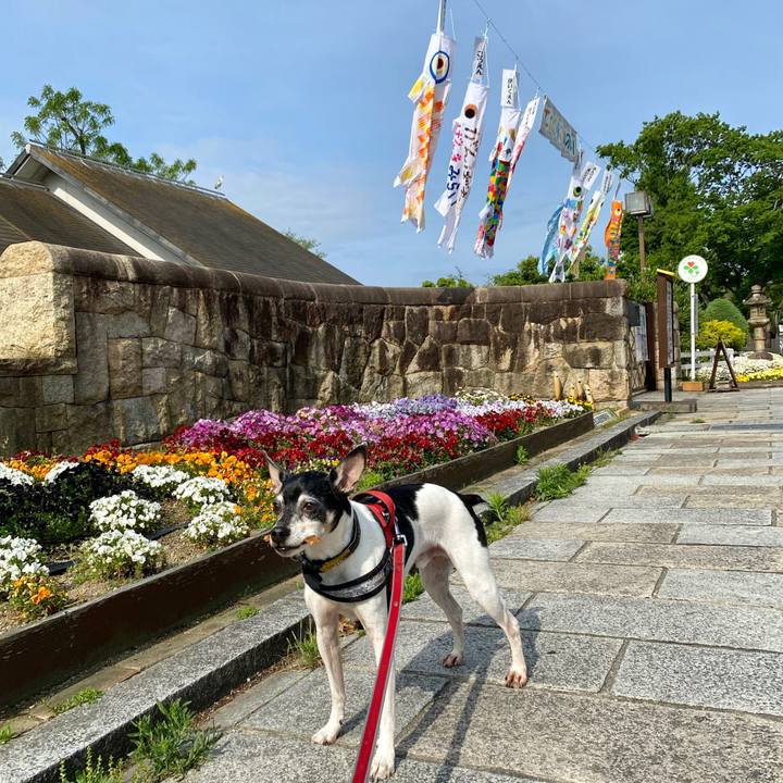 412a7366 5811 403e 950a 08f7386d423d 1588639805125