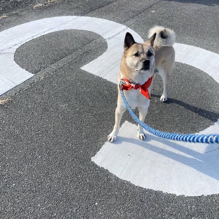 412a96e8 7f0a 4e4c 980e 6c784fa90d42 1672748201752