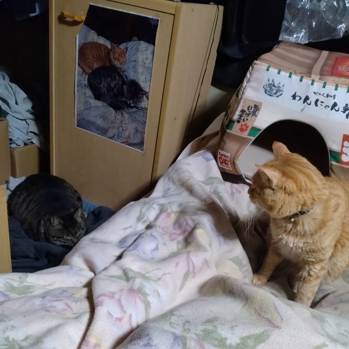 412ab7cd 222f 46d0 b545 5dd083c5deeb 1682339425614