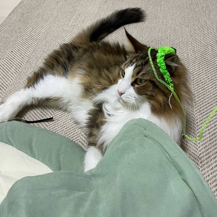 412ac7b0 4d21 4a3b 8d71 075823b60faf 1670094824662