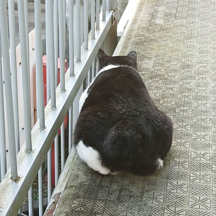 412adc7f cdc2 4a5a 9c09 c2bfa8ea2d36 1599772986415