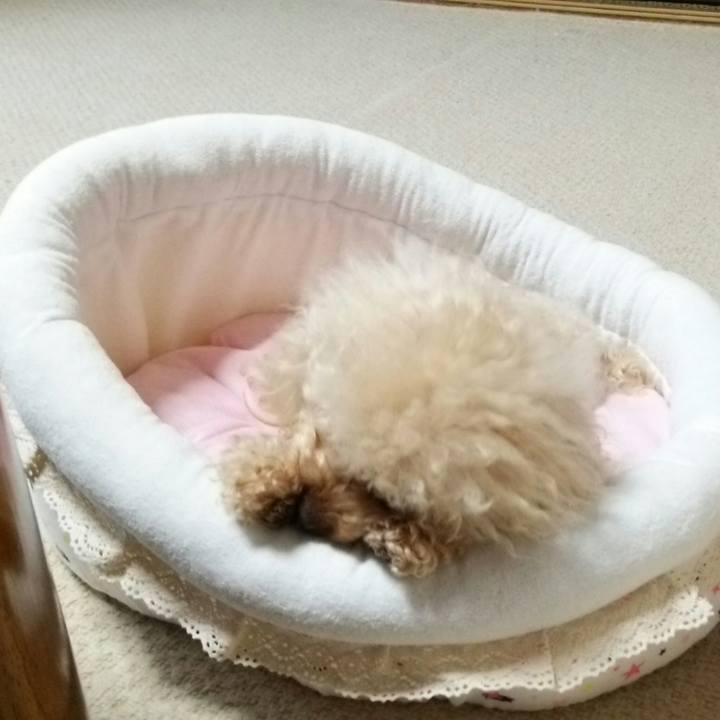 412aedfe a616 4de2 b81b 93862597639a 1515931057115