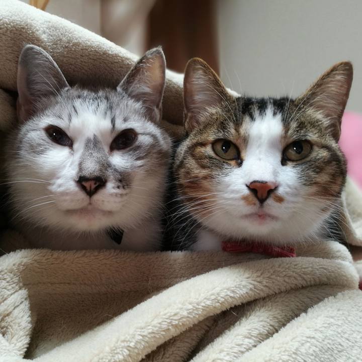 412b20d5 c8bc 4dd3 9d19 0db898072fce 1523676741868